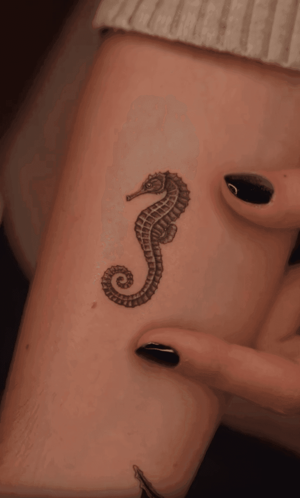 Micro Realism Trio: Seahorse and Leopard