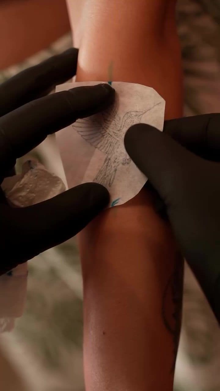 Hummingbird Forearm - Fine Line Micro Realism