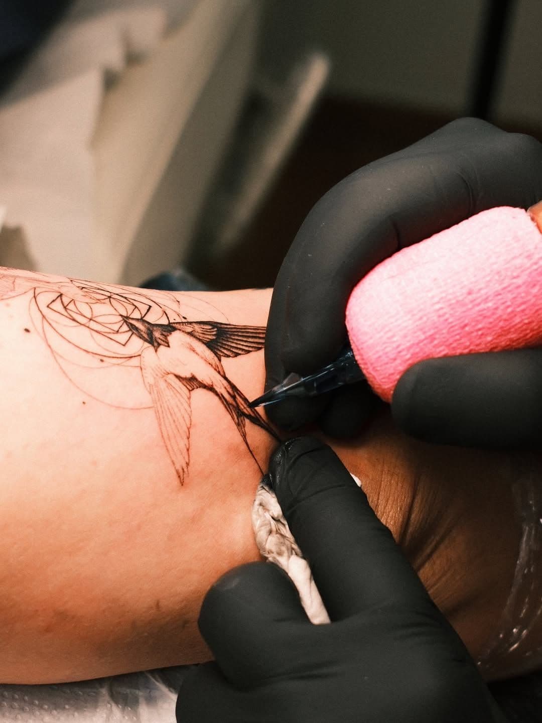 Two Worlds, One Sleeve - Birds, Geometry and Realism in Progress 3